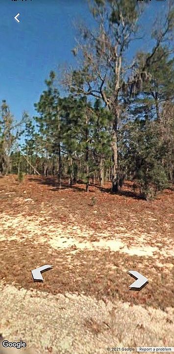 2nd image of 9617 N Dearing Loop