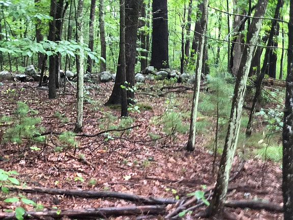 stone wall & property line
