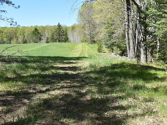 4th image of Morgan Lake Rd
