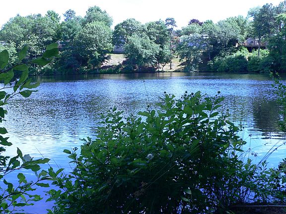 Sam's Pond from shoreline on property