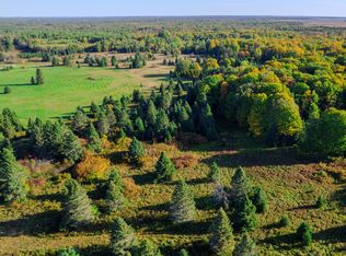 3 E 22 Mile Rd, Pickford, MI 49774