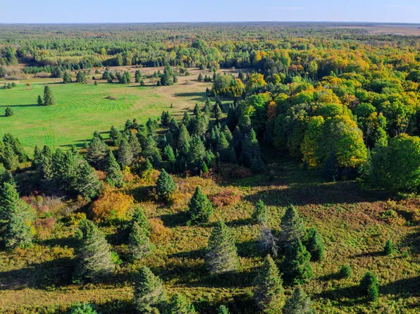 3 E 22 Mile Rd, Pickford, MI 49774