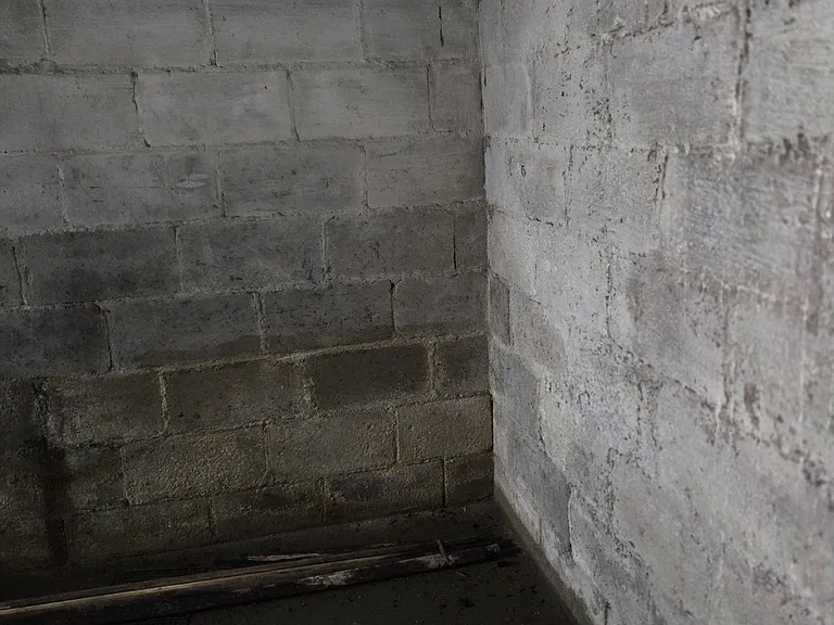 813 N 81st St #1 — Photo 30