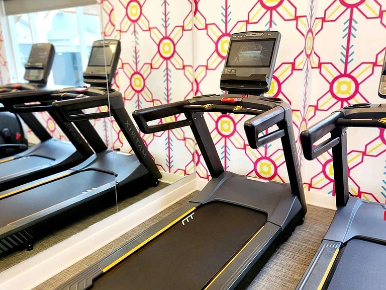 High-End Fitness Equipment