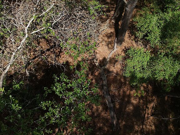 4th image of 232 Hekili Dr