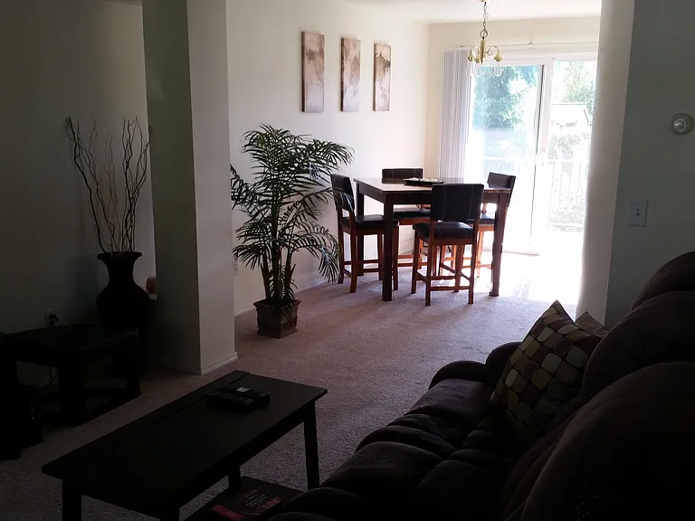 803 Blueberry Ln — Photo 4