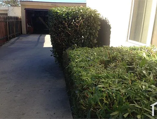 1741 Temple Ave #2 — Photo 3