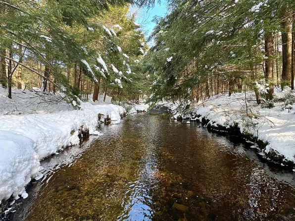 Lot 26.9 Fiftysix Road, Poestenkill, NY 12018