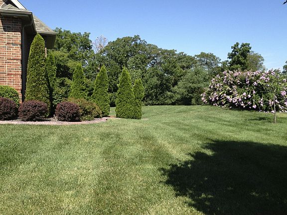 5th image of 2405 Snowberry Cir
