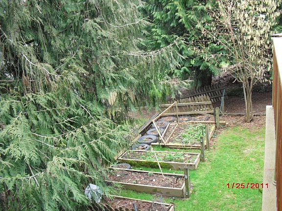 5th image of 311 28th Ave SE