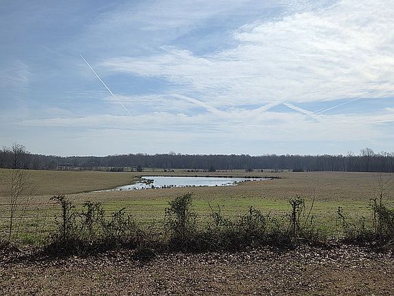 5th image of 664 Martin Ln