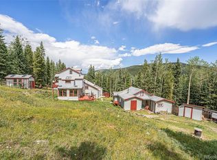 867 Long Rd, Idaho Springs, CO 80452