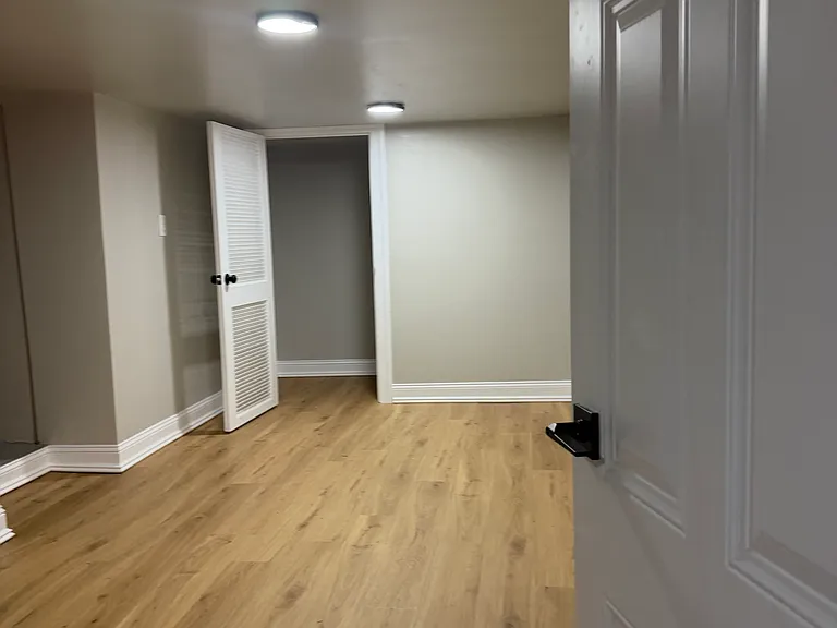 Basement Bonus room