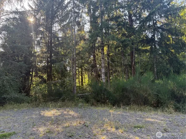 99918 Thomas Court, Forks, WA 98331