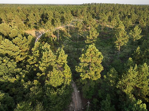 Dji Fly 20260730 193920 719 1785471412962 Photo