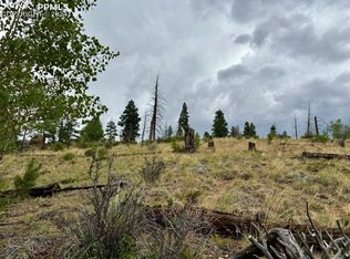 55 Hedges Cir, Woodland Park, CO 80863
