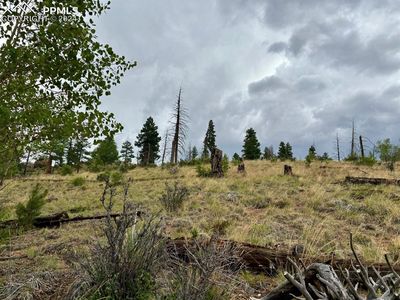 55 Hedges Cir, Woodland Park, CO, 80863