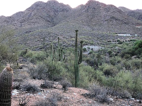 Panoramic Mountain Views