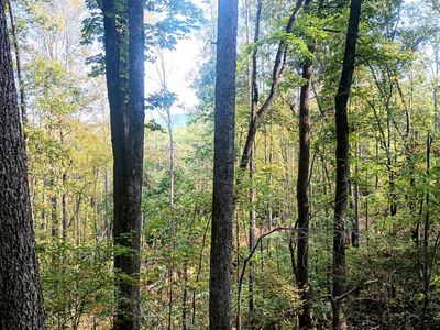 15 Deer Run Ln, Shipman, VA, 22971