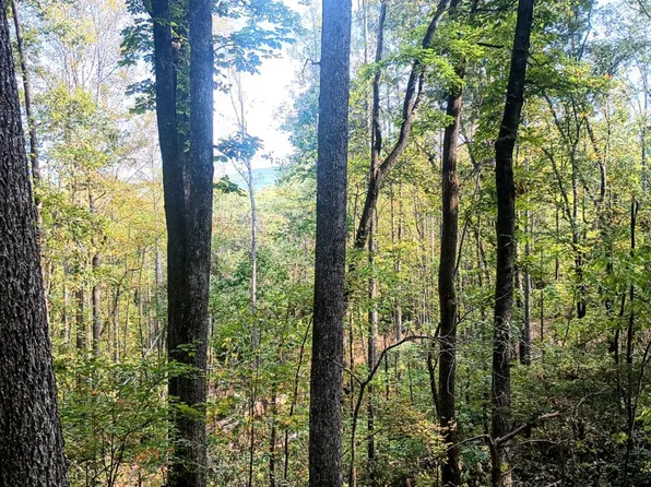 15 Deer Run Ln, Shipman, VA 22971