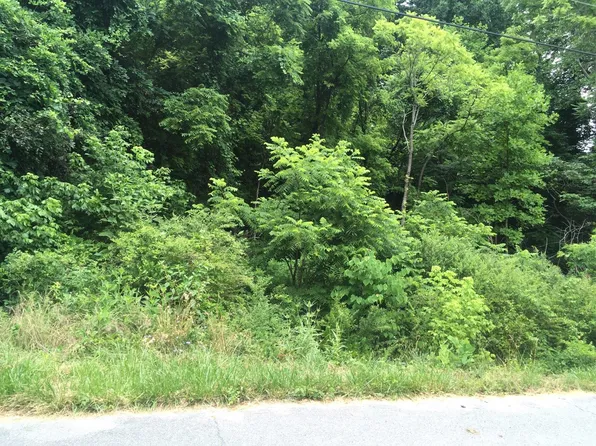 LOT 2 Adrian Dr, Kingsport, TN 37664