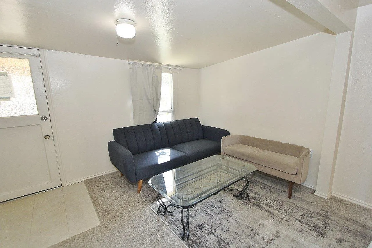 Studio, 300 sqft, $1,000 — Photo 3