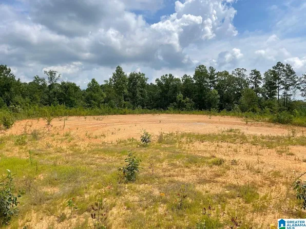 19074 County Road 49 #0, Muscadine, AL 36269