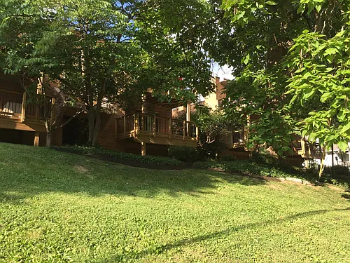 3572 Grandin Rd #1 Photo 1