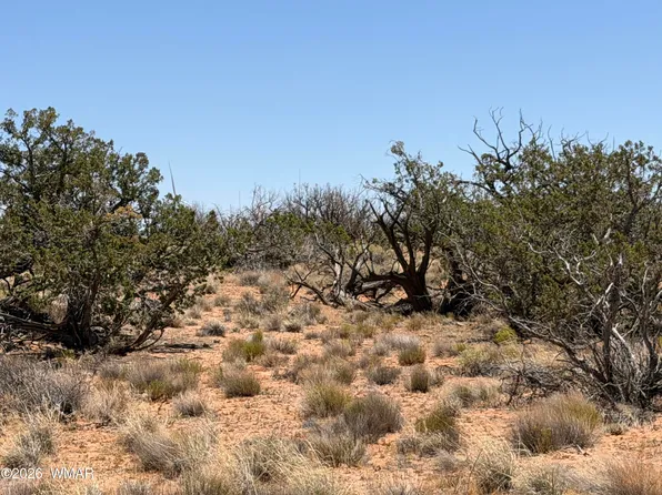 276 Chev Canyon Rnch #3, Heber, AZ 85928