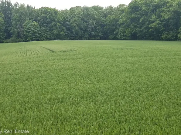 0 E Townsend Rd, Webberville, MI 48892