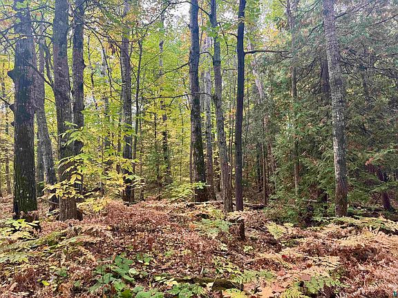 3rd image of Eagle Run