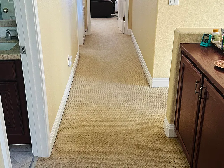 5211 Caparelli Ct — Photo 5