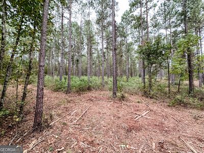 TRACT 3B Jordan Rd #18.08, Monticello, GA, 31064
