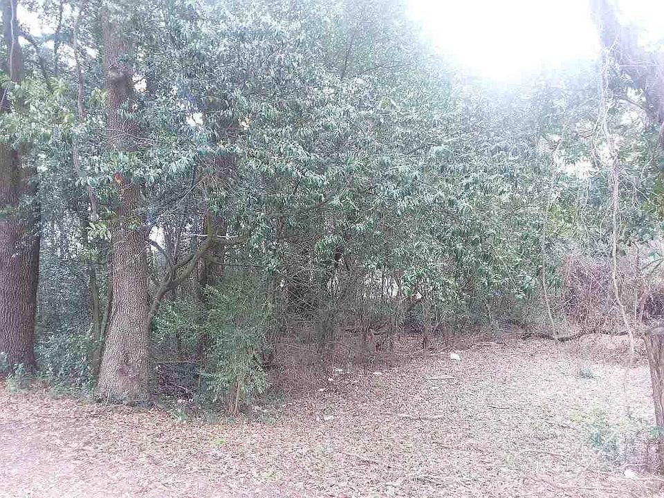 2nd image of 2940 Mission Rd