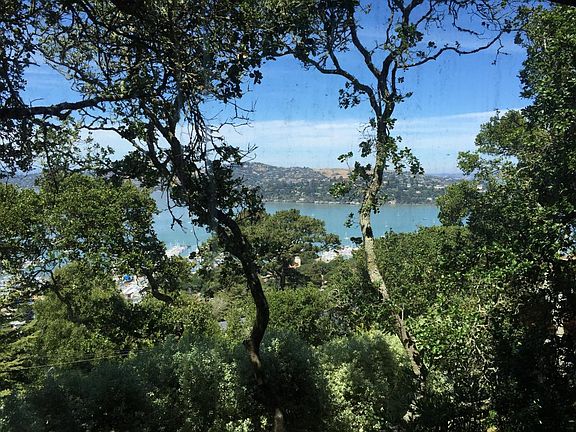 view from inside living area