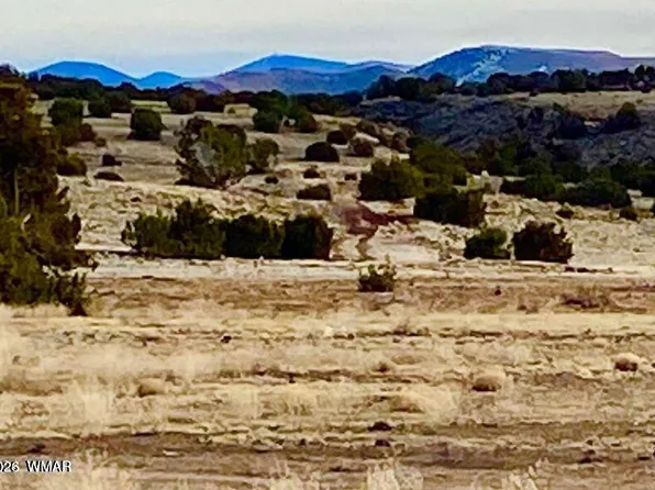 County Road 5201, Concho, AZ 85924