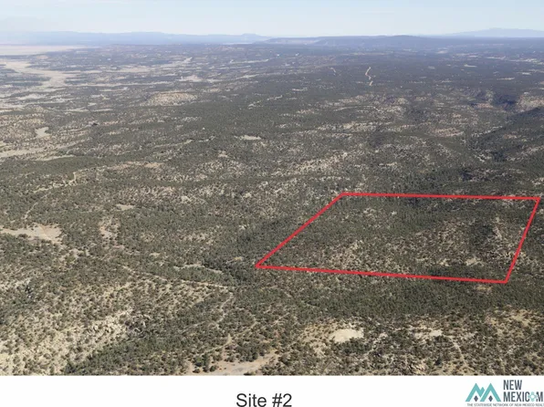 Goat Ranch Rd, Pie Town, NM 87827