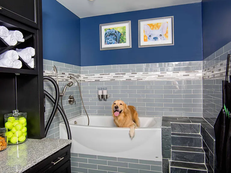 Pet spa