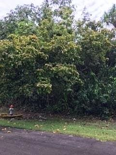 1st image of Oopu St Lot 1539