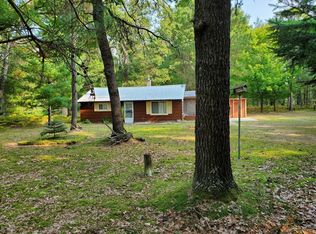 542 W Rainbow Trl, Baldwin, MI 49304