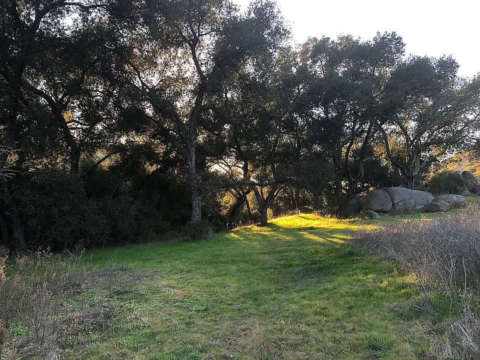 Oak grove