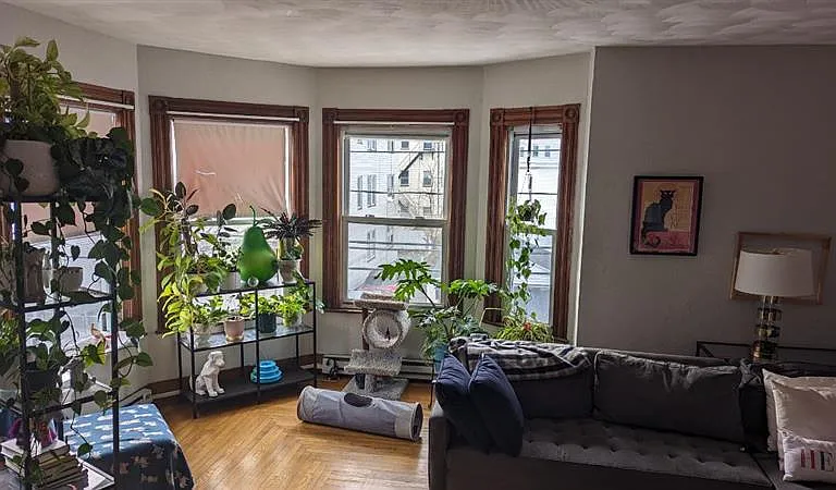 51 Mansfield St #2 — Photo 4