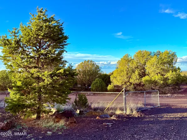 8373 Juniper Dr, Show Low, AZ 85901