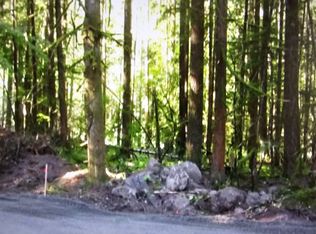 E John Lake Rd, Rhododendron, OR 97049
