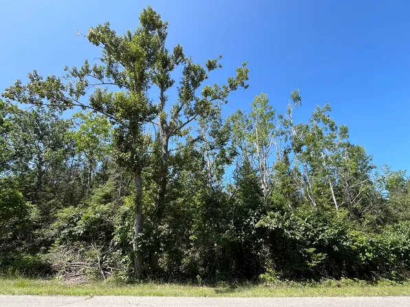 LOT 102 Laurelhill Cir, Presque Isle, MI 49777