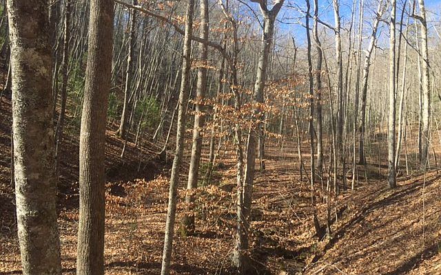 1st image of Skeenah Gap Rd