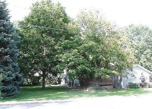 Lot View from 11th Ave