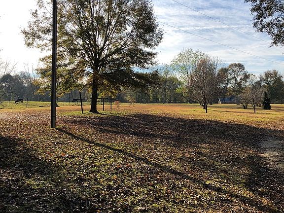 3rd image of 98 Pin Oak Dr