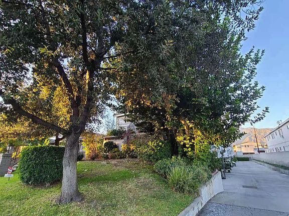 Street view and driveway.