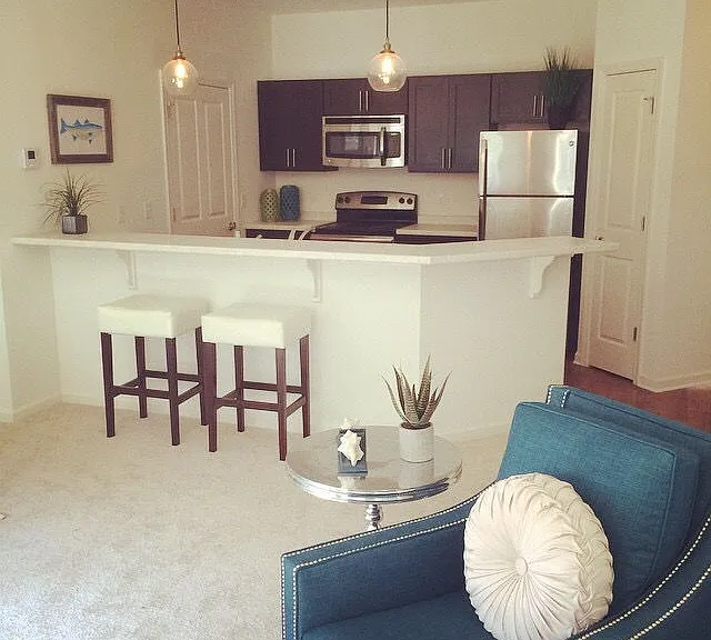 Kitchen and Living Area